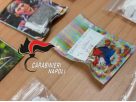 Frozen hashish seized by the Carabinieri in Naples