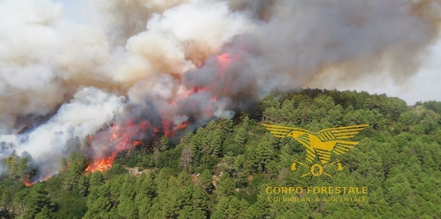 Sardinia wildfire forces evacuations. Image creit: Corpe Forestale